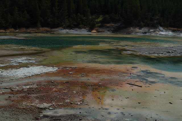 Porcelain Basin at Norris Geyser basin